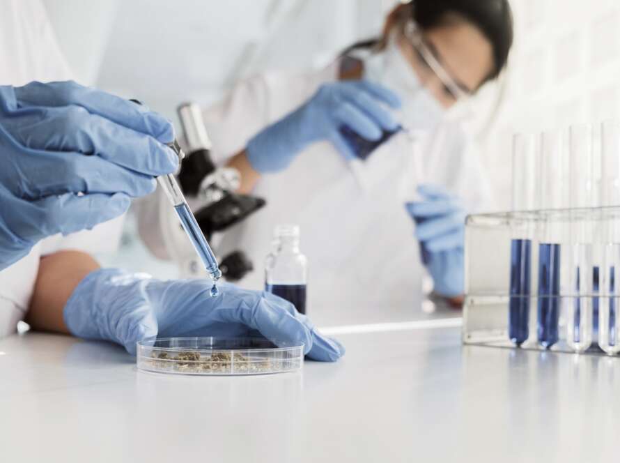 laboratorio
